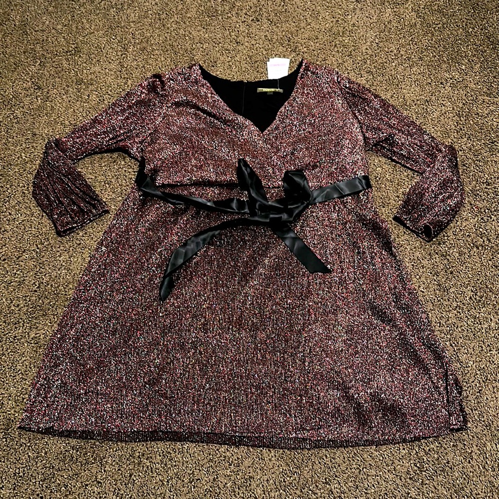 Long sleeve shimmer fit and flare dress.